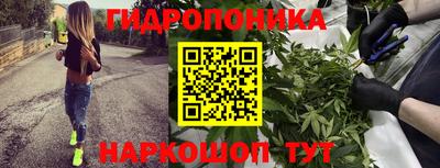 МДПВ Можайск