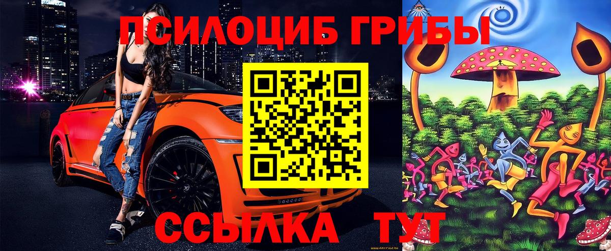 купить   Псилоцибиновые грибы Cubensis  Вход с VPN  Зеленодольск 